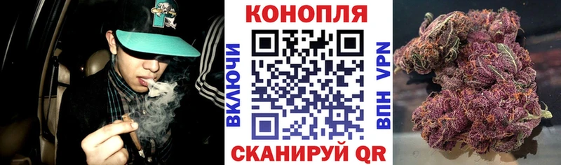 Купить закладки  Нарткала  Каннабис SATIVA & INDICA 